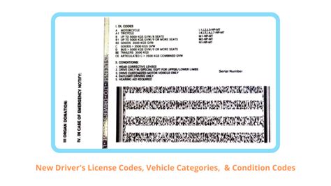 Process your driver's .